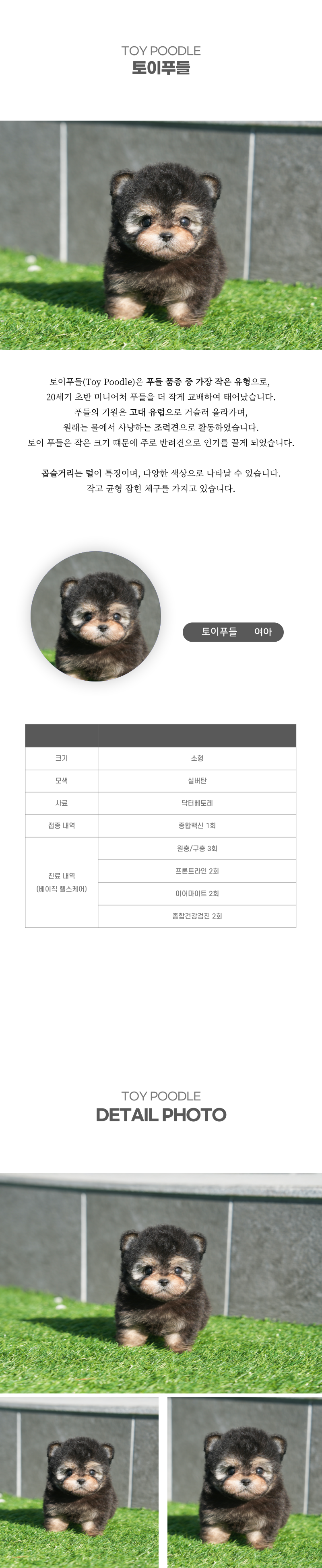 토이푸들_상세이미지_2